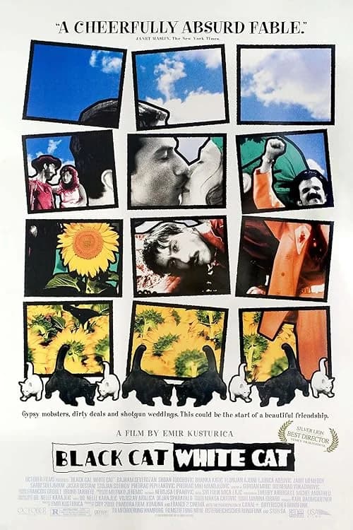 Black Cat, White Cat film posteri