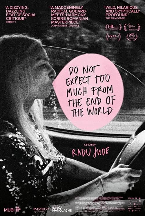 Do Not Expect Too Much from the End of the World film posteri