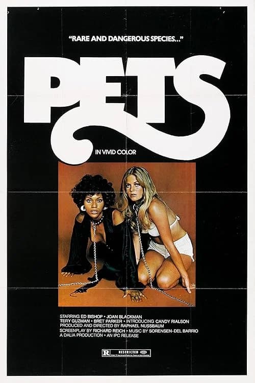 Pets film posteri