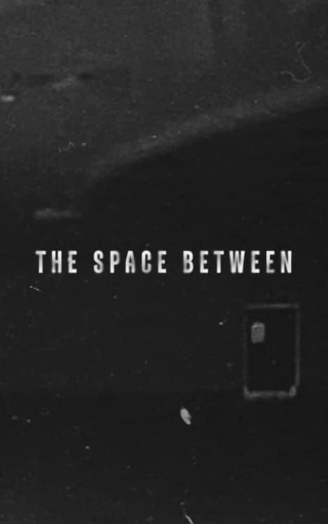 The Space Between film posteri