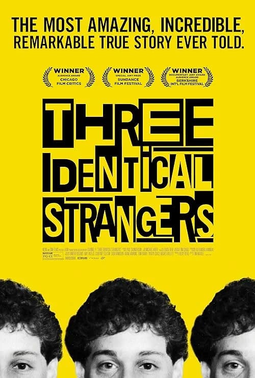 Three Identical Strangers film posteri